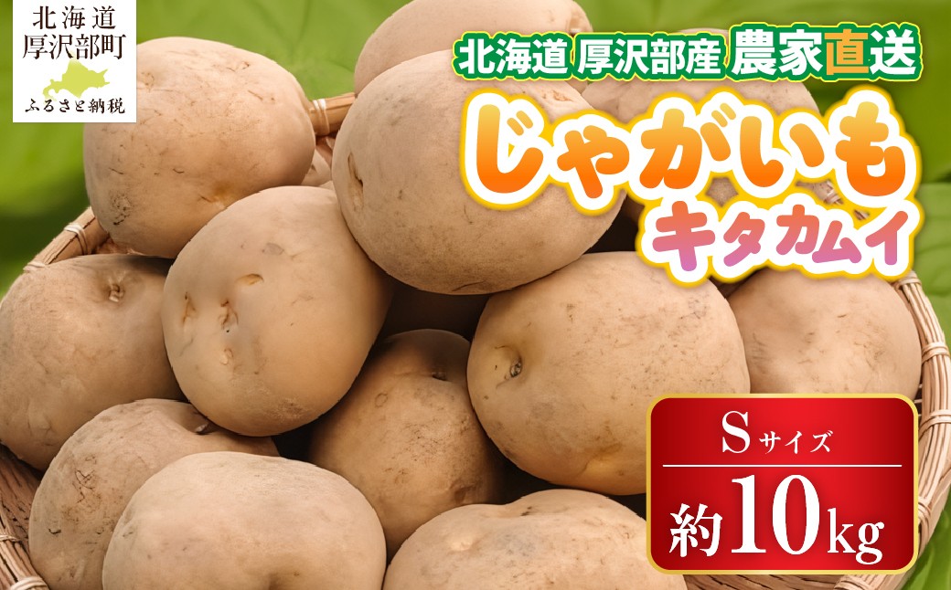 
                  【2026年9月下旬より発送】北海道厚沢部町産 キタカムイ 10kg【Sサイズ】 【 ふるさと納税 人気 おすすめ ランキング じゃがいも ジャガイモ キタカムイ 野菜 肉じゃが カレー コロッケ 煮物 フライドポテト ポテトチップス ポテトサラダ じゃがバター シチュー 甘い おいしい 北海道 厚沢部 送料無料 】 ASO034
                