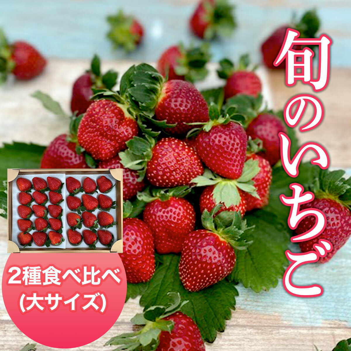【2026年1月下旬発送開始】＜旬のいちご＞2種食べ比べ（大サイズ）ふるさと納税 いちご 苺 イチゴ 千葉 大網白里市 送料無料 AB004