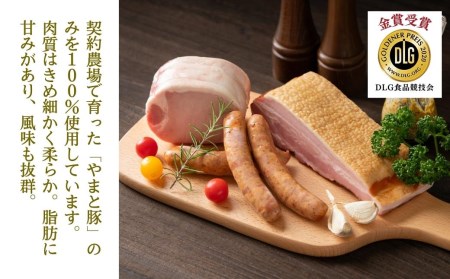 「切るだけそのまま3種セット」 ( ハム ソーセージ ポーク パストラミ ) やまと豚 DLG 金賞 おかず 焼くだけ 化粧箱 のし 熨斗 ギフト お中元 お歳暮 プレゼント人気 ランキング おすすめ