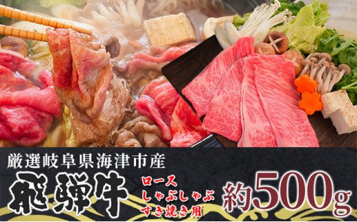
[№5533-0315]【飛騨牛】海津市産ロースしゃぶしゃぶすき焼き用スライス 【配達不可：離島】
