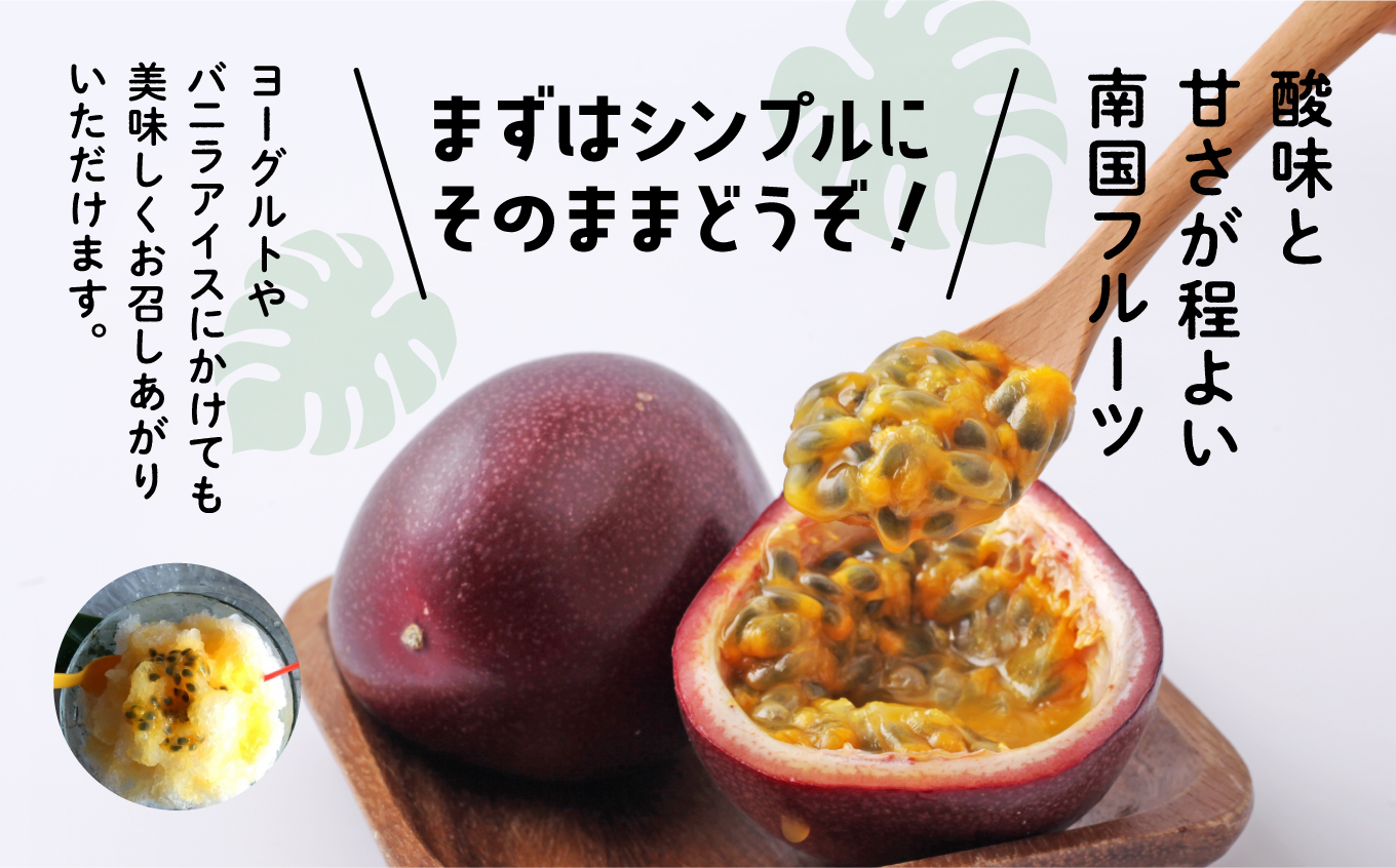 令和6年産 種子島産パッションフルーツ1ケース （12個入り）【新栄物産】