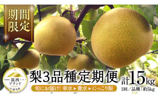 【 JA 北つくば 】 筑西ブランド 認証品 梨 3種 定期便 セット 2025年産 先行予約 果物 フルーツ なし ナシ 和梨 [AE031ci]