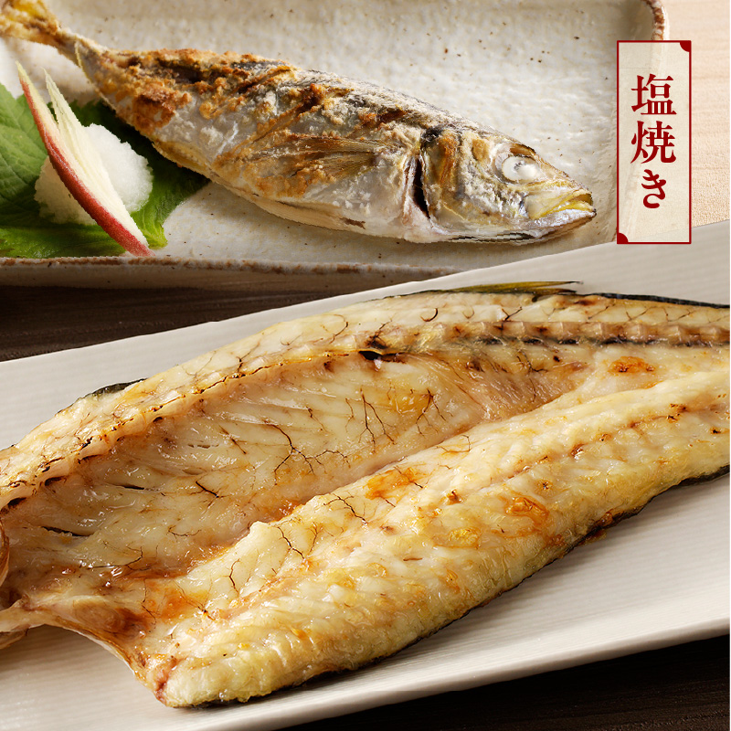 【6ヶ月定期便】大和海商の朝どれ鮮魚直送便 2.5㎏ N072-YF104