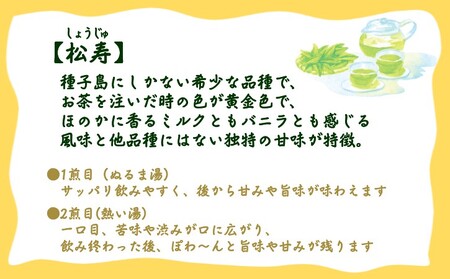 【 R8年産 出荷中 】種子島 射場貴大 茶園 「松寿」 「極上」 オリジナル 茶 セット　NFN570【275pt】// 日本茶 緑茶 希少品種 お茶 新茶 一番茶 煎茶 