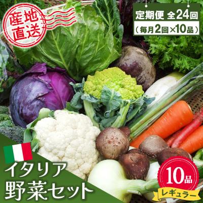 ふるさと納税 神埼市 年間定期便24回 イタリア野菜セットレギュラー 10品 (H078150)