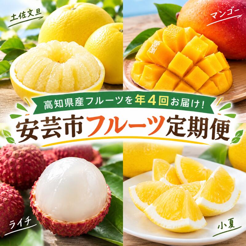 【ふるさと納税】 安芸市フルーツ定期便【6万円コース/年4回発送】 マンゴー ライチ 土佐文旦 小夏 フルーツ くだもの 果物 季節限定 期間限定 旬 限定 スイーツ デザート アレンジ 柑橘 数量限定 先行予約 先行受付 高知県安芸市