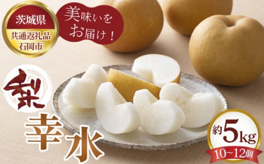 No.590 【先行予約】お中元　幸水　約5kg　10～12個【茨城県共通返礼品 石岡市】 ／ 旬 新鮮 梨 なし ナシ 果物 フルーツ 茨城県 特産品
