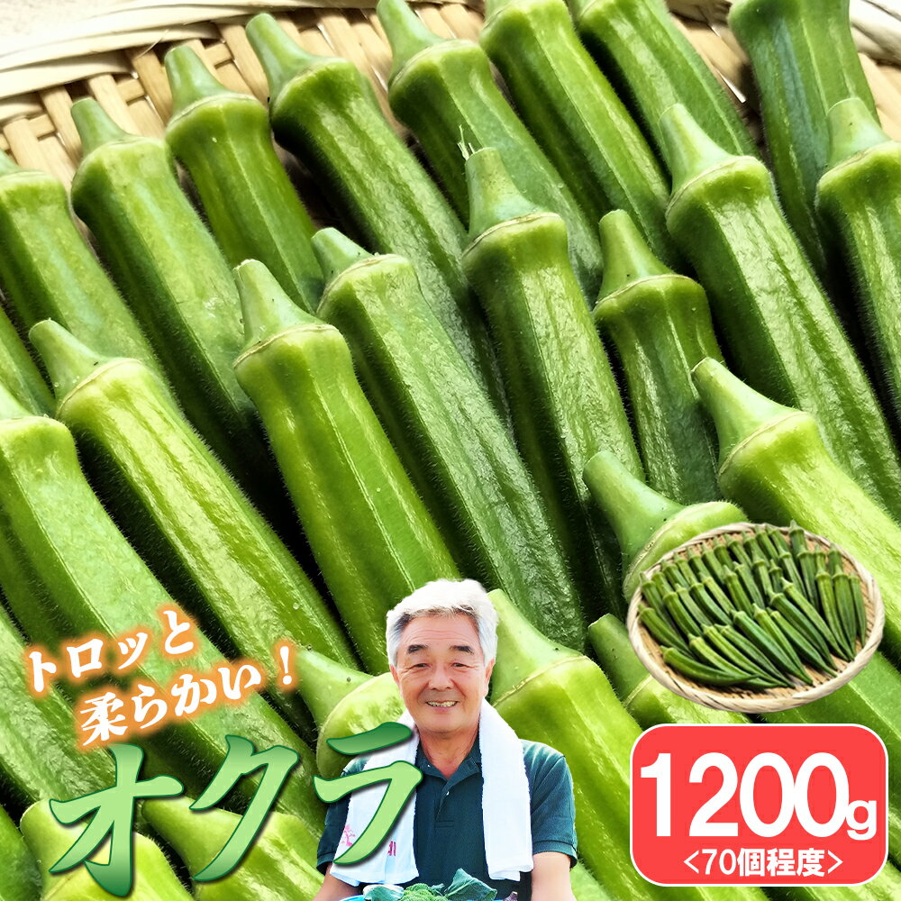 【ふるさと納税】トロッとおいしいオクラ＜約1200g＞　【95P3201】 秋田県 大館市 東北 ギフト 贈答品 プレゼント 送料無料 野菜 こだわり 土づくり 土作り ひない渡辺農園しどけ村