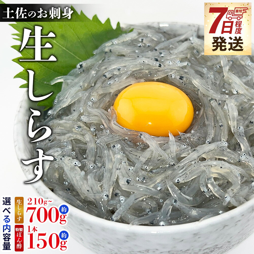 【ふるさと納税】】土佐のお刺身 生しらす （選べる内容量：約210g/420g/700g） - 【7日程度で発送】 小分け 国産 早い 数量 特選 特製タレ付 料理 アレンジ しらす シラス 生シラス 稚魚 魚介 魚 海産物 鮮度抜群 瞬間冷凍 やみつき ごはんのお供 高知県 香南市 【冷凍】