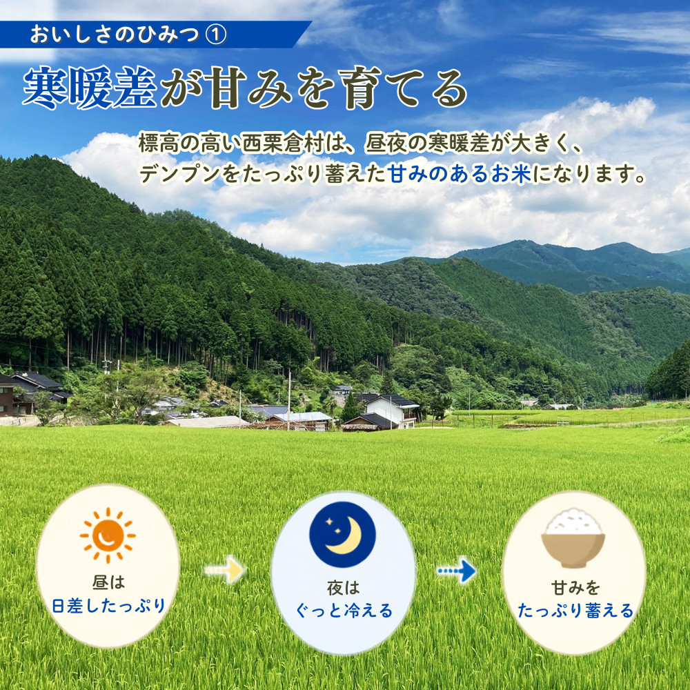 【令和8年産新米・先行予約】【6回定期便】あわくら源流米 コシヒカリ 白米 5kg｜岡山県西粟倉村 お米 米 新米 予約 定期便 毎月お届け 5キロ 小分け お弁当 冷めても美味しい おにぎり ギフト
