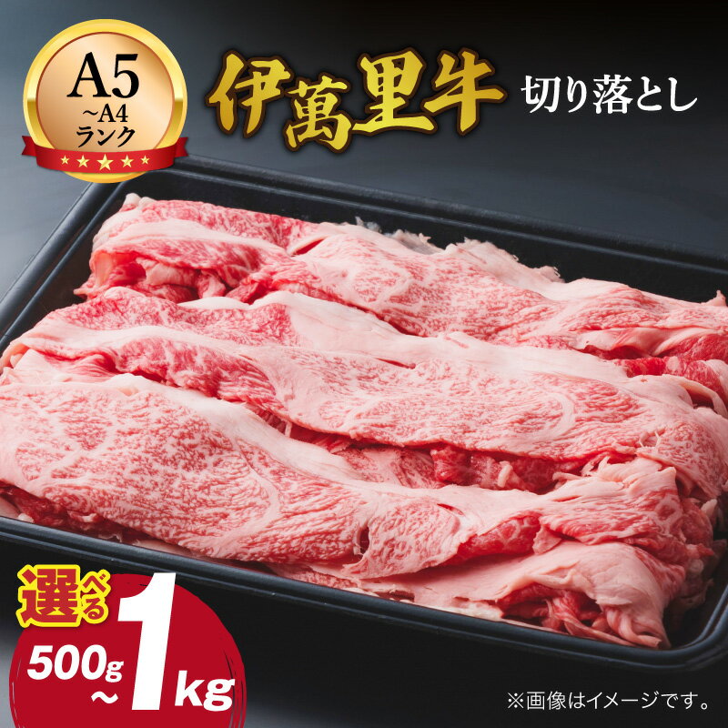 【ふるさと納税】伊万里牛 切り落とし すき焼き 牛丼 カレーにも＜内容量が選べる／500g ・1kg (500g×2) ＞【 ふるさと納税 佐賀牛 伊万里牛 牛肉 和牛 切落し 小分け A4等級 冷凍 国産 】