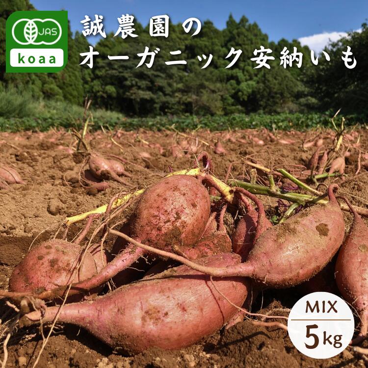 【ふるさと納税】＼ 新物 受付開始 ／ 種子島産 オーガニック ( 有機 ) 種子島 安納いも (誠農園) 5kg