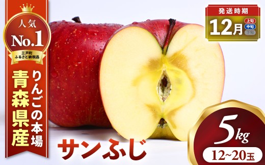 りんご【サンふじ】約5kg（12～20玉）【2026年産・先行予約】★2026年12月上旬～12月中旬頃発送予定★ 青森県三戸町産 りんご サンふじ 2026年産 先行予約 サンふじりんご 旬 甘い 青森県三戸町 AK-16-011