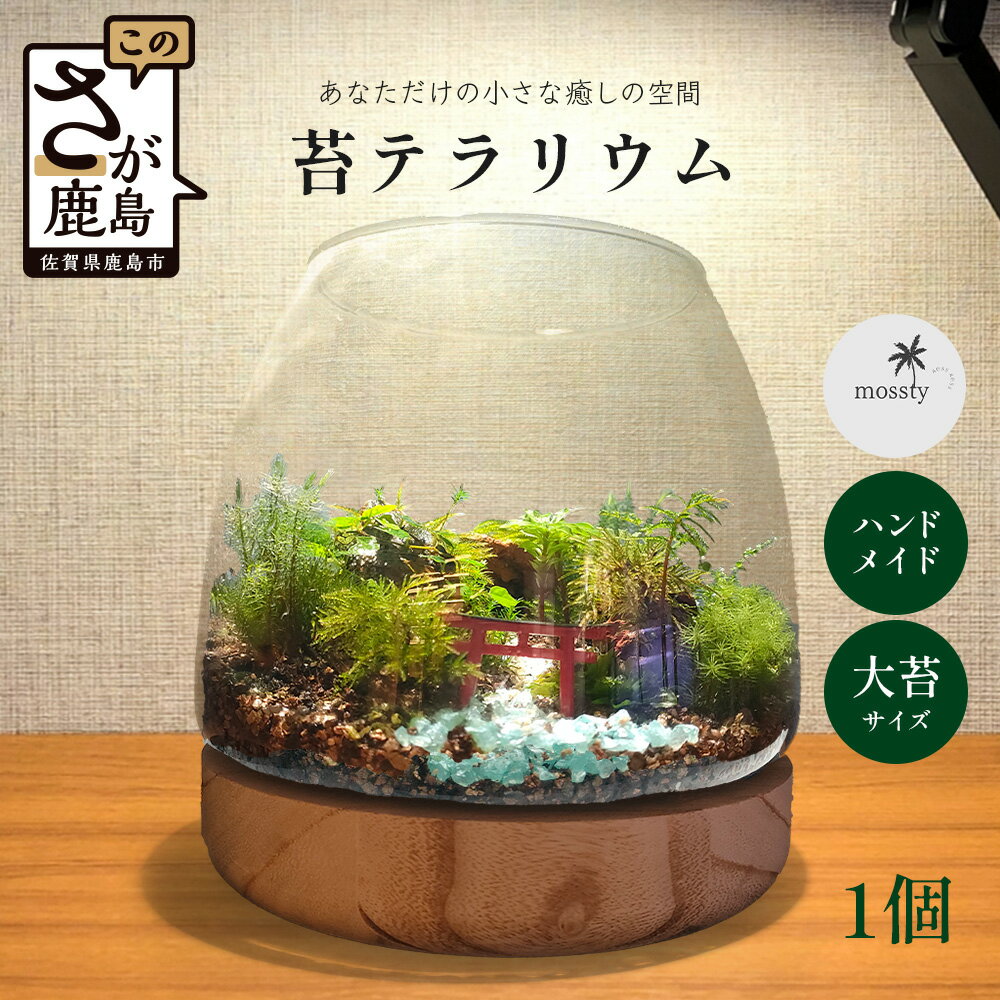 【ふるさと納税】苔テラリウム　手入れ簡単 癒やしのインテリア 卓上サイズ 誕生日 プレゼント雑貨 敬老の日 贈り物 観葉植物 初心者 鹿島市産 / mossty　J-33