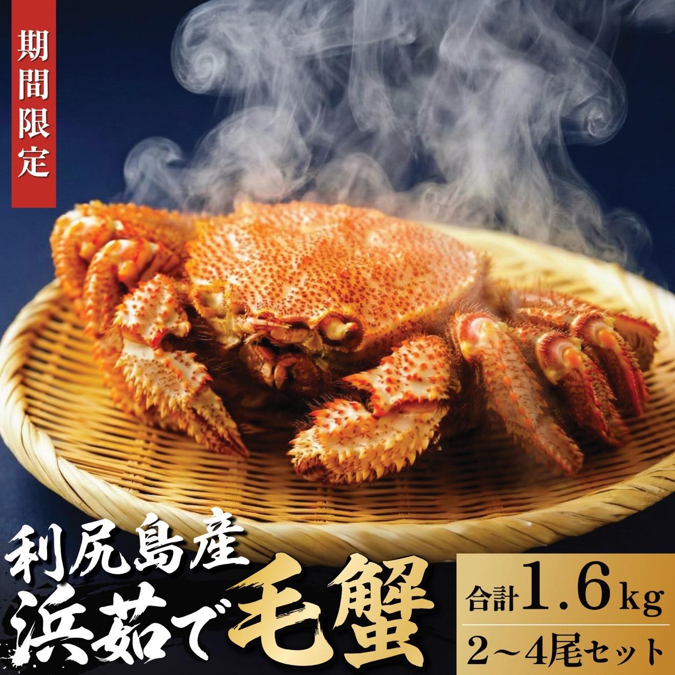 【ふるさと納税】【2026年先行受付】北海道産 浜茹で毛ガニ 合計約1.6kg（未冷凍・チルド配送）利尻産【1月より順次出荷】｜毛蟹 蟹 かに カニ味噌 蟹味噌 ボイル 海鮮 魚介 [1060143]