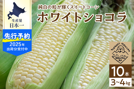 【 2025年分先行予約 】とうもろこし 北海道産 ホワイトショコラ 10本 廣田農園 期間限定 数量限定 糖度 18 ～ 19度 甘い 人気 白 とうきび コーン 野菜 生 産地直送 送料無料 お取り寄せ お取り寄せグルメ 朝採り 産地直送 贈り物 ギフト 十勝 芽室町 me031-001c-25