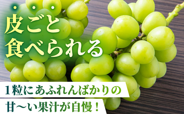 【先行予約】【数量限定】【訳あり】シャインマスカット 約600g(1～2房)【合同会社 社方園】 [ZBZ035]