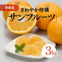 【ふるさと納税】サンフルーツ（生果3kg）｜柑橘 みかん ミカン 蜜柑 果物 フルーツ さっぱり 愛媛県 伊方町産　※離島への配送不可　※2025年2月上旬～3月上旬頃に順次発送