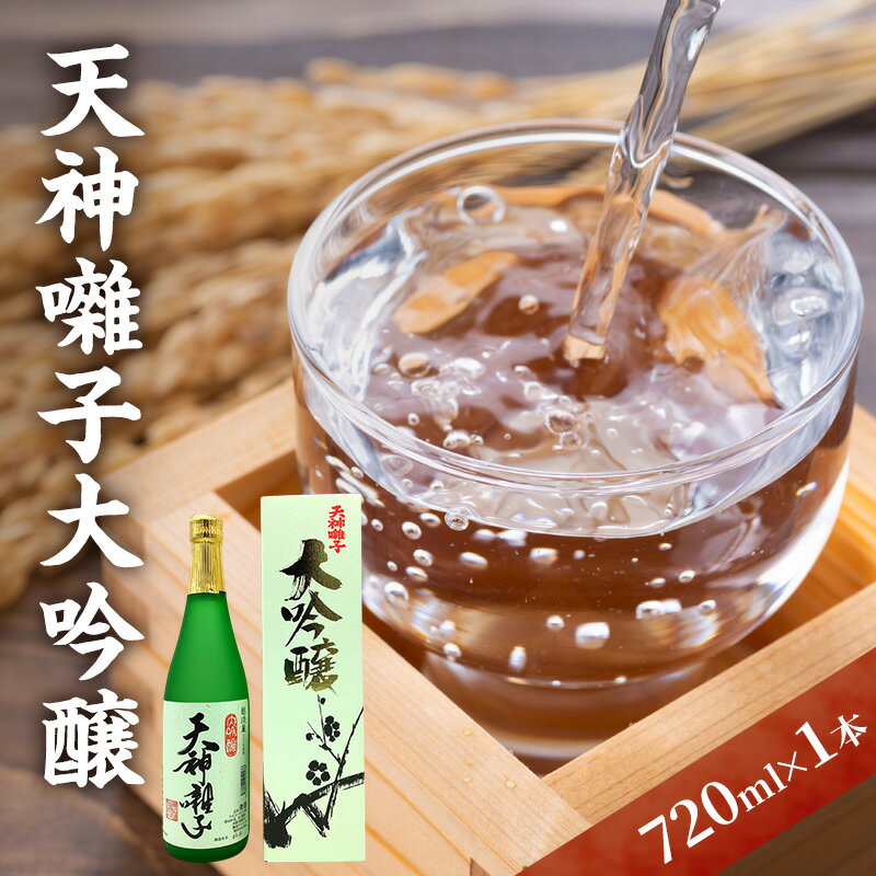 【ふるさと納税】天神囃子大吟醸 720ml　日本酒 酒 お酒 お取り寄せ 贈り物 ギフト 新潟県 十日町市