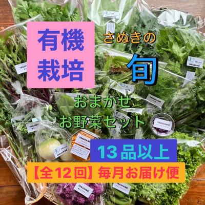 ふるさと納税 さぬき市 【毎月定期便】さぬき市小田産の食を楽しむTAGATAMEのお任せお野菜セット　13品以上全12回