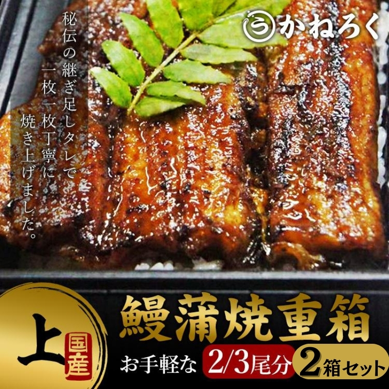 
鰻蒲焼重箱「上」2個セット 山椒・漬物付き　ギフト ウナギ 鰻 蒲焼 国産 国内産 プレゼント 誕生日 お歳暮 上田市 コシヒカリ グルメ 贅沢 [№5312-0785]
