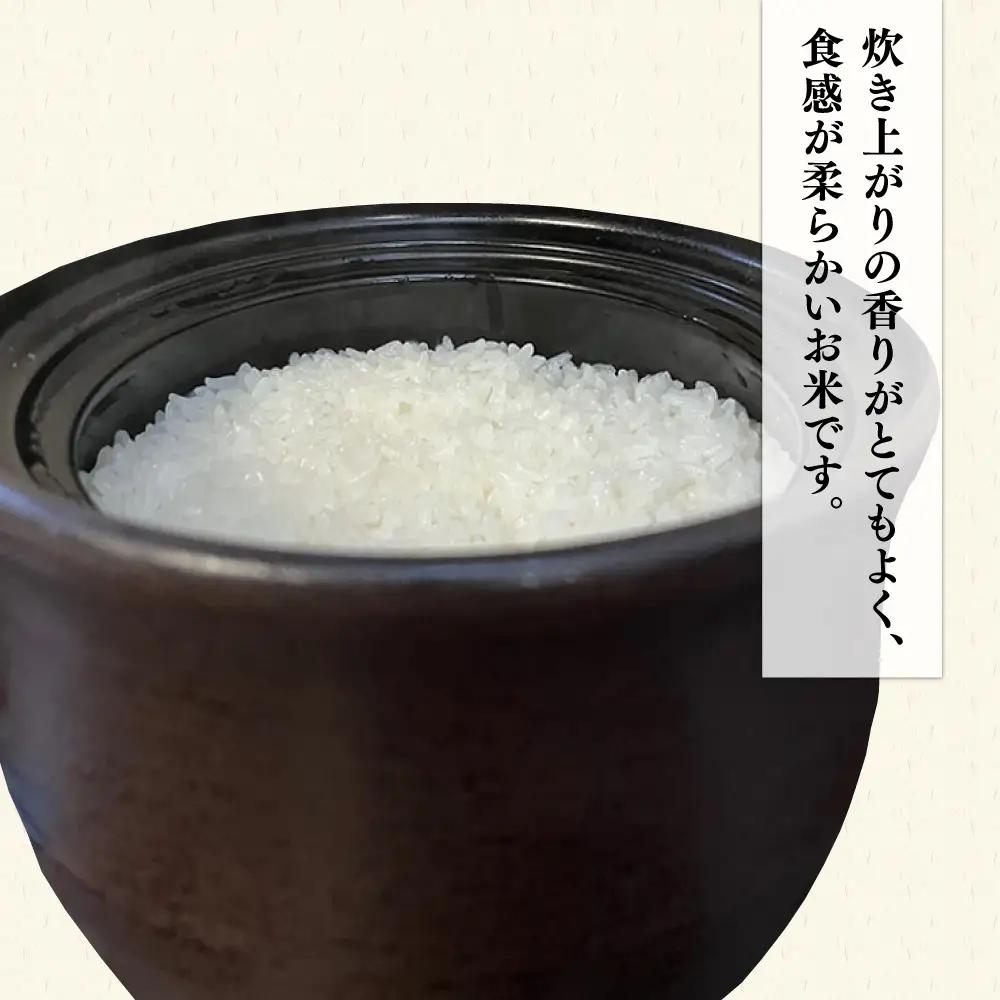 伊都の米 5kg  糸島市 / 米屋納富 [ARL001] 白米 お米