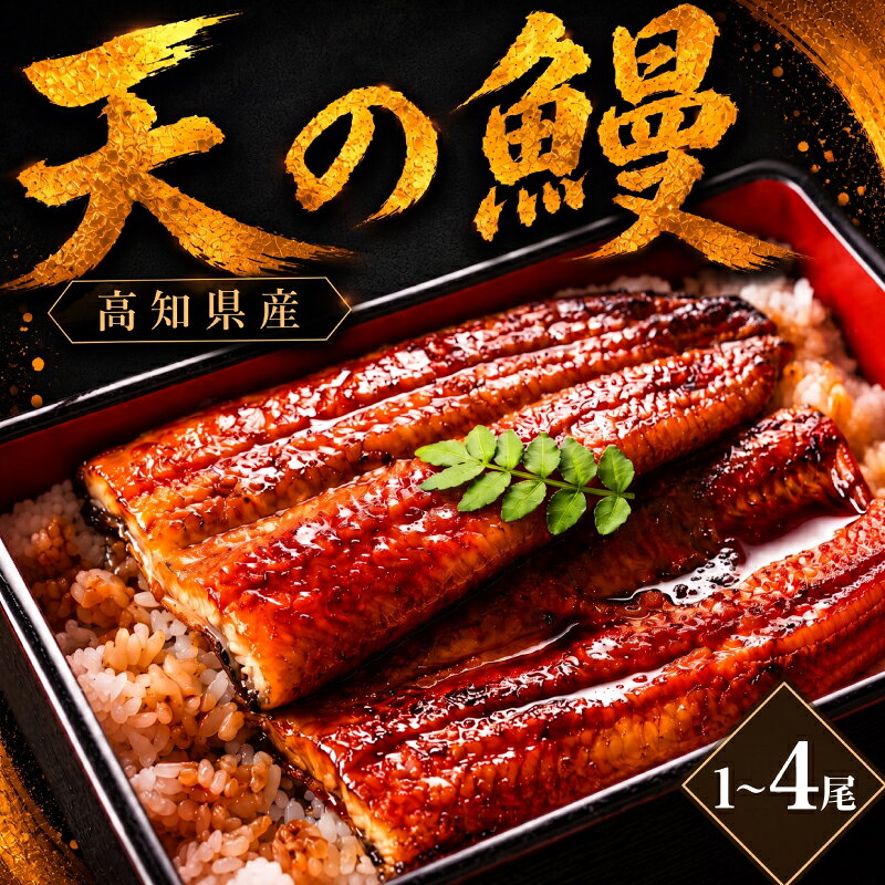 【ふるさと納税】 鰻 蒲焼 セット 選べる 1尾 2尾 3尾 4尾 土佐料理司 うなぎ ウナギ 蒲焼き かばやき 丼 おすすめ 丑の日 贈答用 父の日 母の日 内祝い 出産祝い 結婚祝い お祝い 極上 御中元 ギフト用 家庭用 贈り物 極上 真空 人気 三代目 天の鰻 高知県 南国市