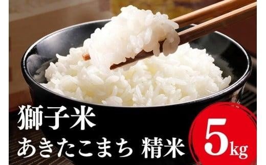 【3月発送】あきたこまち 精米5kg お米 米 こめ コメ 精米 白米 ご飯 ごはん 茨城県 石岡市 B02-077