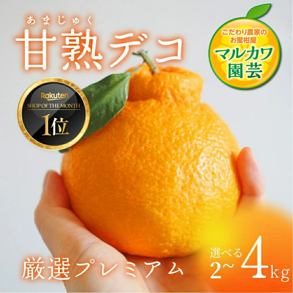 【ふるさと納税】≪今が旬！≫ 完熟しらぬい『甘熟デコ』厳選プレミアム ≪選べる 2kg〜4kg≫ 2kg 3kg 4kg みかん 蜜柑 ミカン 柑橘 でこぽん デコポン 不知火 しらぬい 完熟 旬 フルーツ 果物 スイーツ 高糖度 贈答 訳あり マルカワ園芸 先行予約 5kg 愛知県 豊橋市