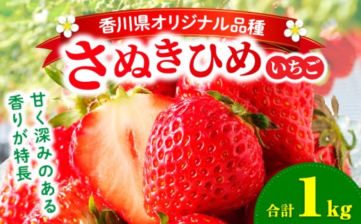三木町地域いちご部会「さぬきひめ」1.0kg |いちご 苺 ストロベリー さぬき姫 さぬきひめ 香川県 香川県オリジナル 希少 甘い フルーツ 旬 果物 スイーツ 冷蔵 1kg以上 デザート 青果物 贈答 プレゼント 贈り物 おすすめ |_mk006-015