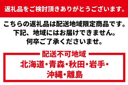 活 伊勢海老 1匹（約300ｇ）南紀黒潮イセエビ 年末年始 お正月 お届け可【着日指定必須】｜期間限定 漁師直送 海鮮 とれたて 人気