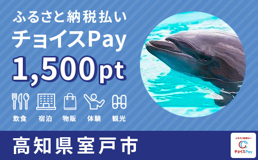 
お食事・観光・体験に使える！室戸市 チョイスPay 1,500ポイント【会員限定のお礼の品】
