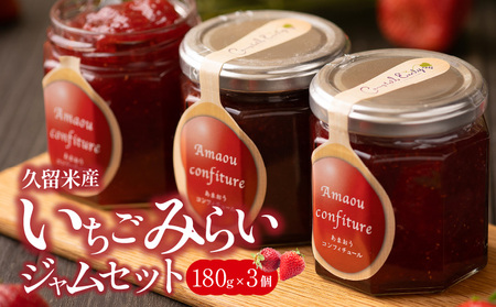 久留米産ブランドいちご　未来苺（みらいちご）ジャムセット_久留米産 未来苺 みらいちご ジャム 180g × 3個 セット あまおう いちご 甘い オリジナル 上質 果物 フルーツ 朝食 ヨーグルト パン トースト 瓶 国産 南国フルーツ株式会社 お取り寄せ グルメ 福岡県 久留米市 送料無料_Ca007_V1