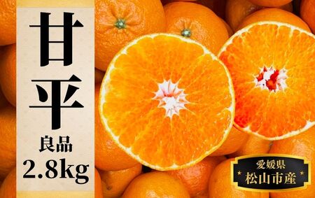 【甘平】約2.8ｋｇ（良品） ＜2月頃発送 ＞ みかん ブランド 柑橘 フルーツ 果物 愛媛 松山【PT038_x】
