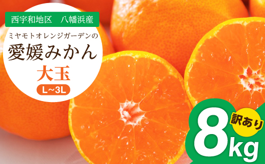 【2025年11月より順次発送】大玉サイズのみ厳選!愛媛みかん8kg【訳あり】【C25−142】【1166254】