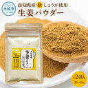 【ふるさと納税】新しょうが お手軽ヘルシー高知県産しょうがパウダー 30g×8袋セット 生姜パウダー 国産 しょうが ショウガ ジンジャー 新ショウガ 粉末しょうが 野菜パウダー 料理 お菓子づくり 健康 ふるさとのうぜい 故郷納税 高知県 10000円 返礼品