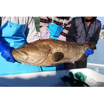 ふるさと納税 佐世保市 【漬け魚】クエの味噌漬けと煮付け(クエだし仕立て) |  | 03