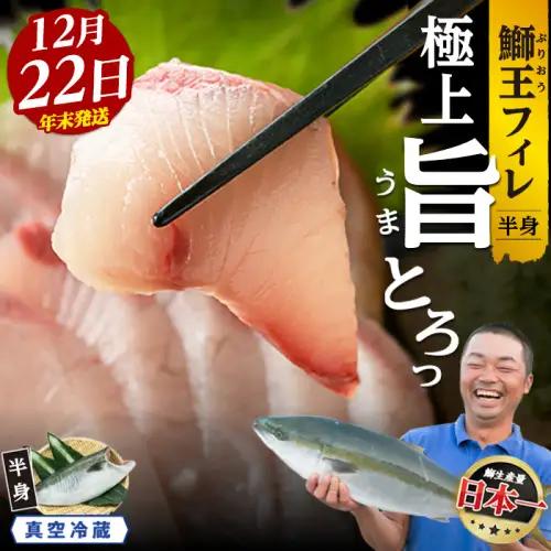 【期間限定特別寄附額】＼年末発送 先行予約／＜数量限定＞【2026年12月22日発送】『旅サラダ』で紹介ぶりの王様「 鰤王 」 フィレ 半身 (約1.2kg～・フィレ1枚) 産地直送 新鮮 旨味が抜群の 長島町 特産品 ブランド ぶり 鰤 ブリ 切り身 真空 冷蔵 刺身 ぶりしゃぶ しゃぶしゃぶ 魚 魚介 人気 ランキング 年末年始発送 【JFA】jfa-1630-22