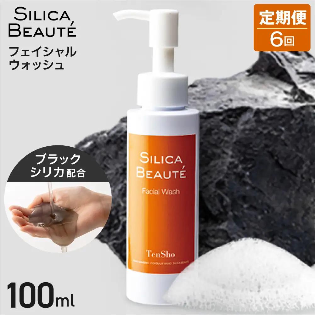 【6ヶ月定期便】シリカボーテ　フェイシャルウォッシュ100ｍL | 洗顔料 スキンケア 美容 北海道 札幌市