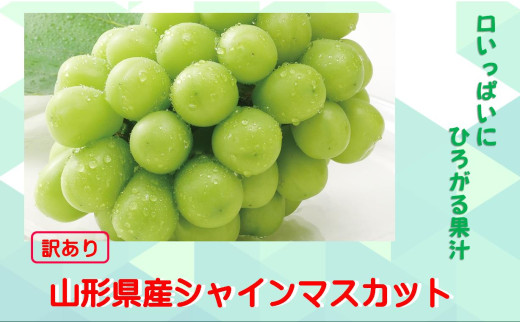 【訳あり】山形県飯豊町産  シャインマスカット（2Kg） ※離島・北海道・沖縄　配送不可