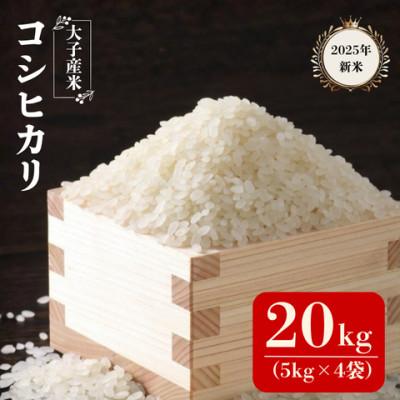 ふるさと納税 大子町 大子産米コシヒカリ(精米)20kg　茨城県 大子町 こしひかり 白米 令和7年産