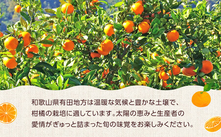 ご家庭用 有田みかん 約2kg 2S～Lサイズ 混合