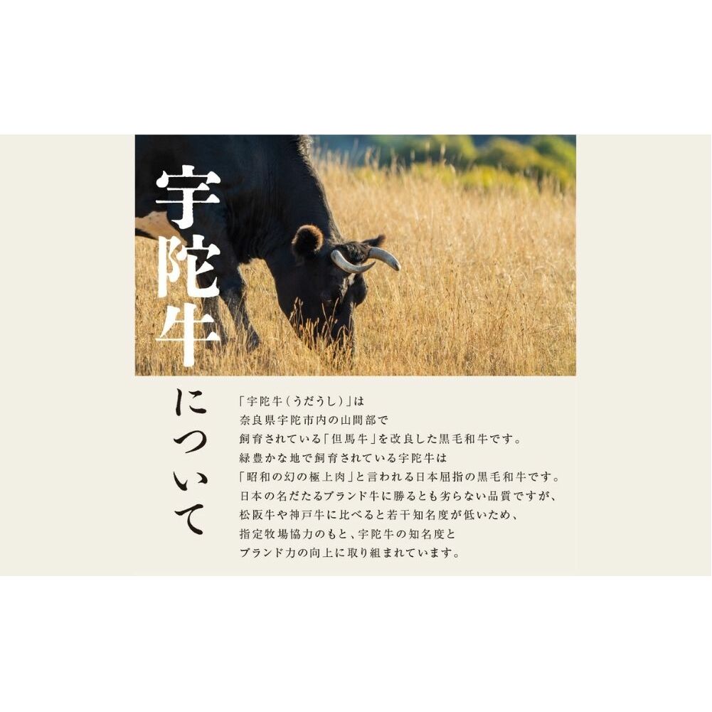 特産 認定肉 宇陀牛 国産 黒毛和牛 特上 焼肉 約1.6kg チルド / 宇陀 山繁 ふるさと納税 牛肉 レア 人気 バーベキュー キャンプ 寄付 ランキング おすすめ グルメ 肉 返礼品 送料無料