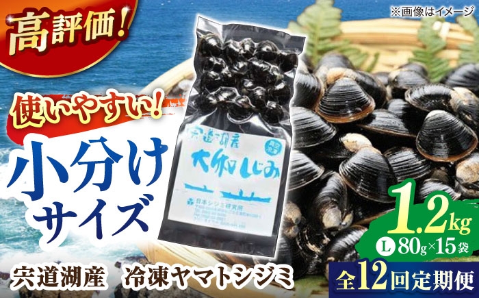 
                  【全12回定期便】シジミ ヤマトシジミ 生産量日本一!宍道湖産 ヤマトシジミLサイズ(真空冷凍) 80g×15袋 島根県松江市/有限会社日本シジミ研究所 [ALBS008] ｜ しじみ シジミ 貝 魚介類 海鮮 食材 食品 しじみ汁 味噌汁 みそ汁 砂抜き 冷凍 お取り寄せ グルメ ギフト プレゼント 贈り物 定期便 Lサイズ 真空パック 宍道湖 特産品 松江 しじみスープ 高級 毎月 12回
                