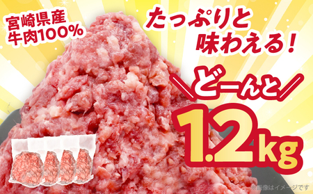 【2週間以内発送】≪訳あり≫宮崎県産牛ミンチ肉 計1.2kg(300g×4パック) 肉 牛 牛肉 国産_T025-042
