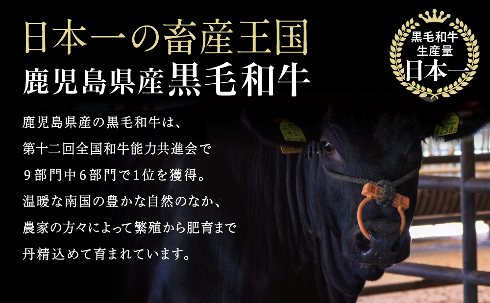 鹿児島県産黒毛和牛 赤身ももスライス 計1.2kg（600g×2P） 黒毛和牛 和牛 牛肉 肉 赤身 モモ スライス 薄切り すき焼き すきやき しゃぶしゃぶ 鍋 あっさり ヘルシー 冷凍 ギフト 贈