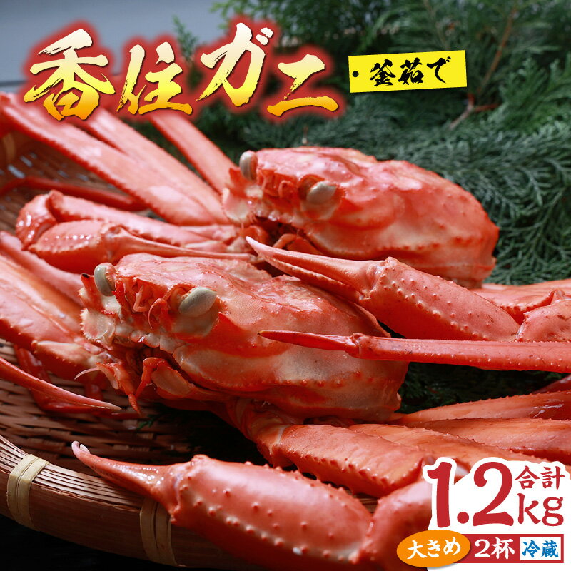 【ふるさと納税】カニ 香住ガニ 浜茹で 2杯 1.2kg以上 大きめ 冷蔵 ご自宅用 蟹 ボイル 釜茹で 香住蟹 姿 海鮮 紅ズワイガニ カニすき カニしゃぶ しゃぶしゃぶ 焼きガニ 鍋 焼き蟹 蟹しゃぶ かに カニ爪 紅ズワイ かにみそ 国産 送料無料