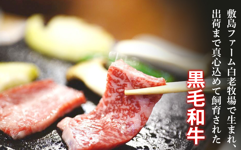 白老和牛焼肉セット《敷島ファーム》 BF009 _イメージ2
