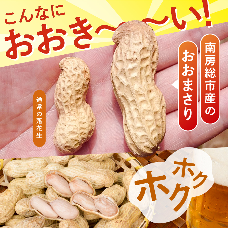 【先行受付 2025年9月中旬～11月中旬発送予定】『おおまさり 生落花生 1kg』 農家直送！落花生 ピーナッツ 殻付き 千葉 おつまみ 大粒