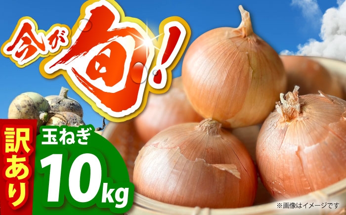 
                  【今が旬!】 訳あり 玉ねぎ 10kg 　【えぐちファーム】 不揃い たまねぎ [HDE004]
                